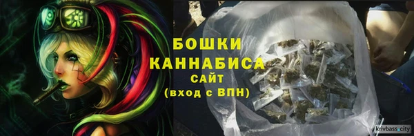 apvp Нягань