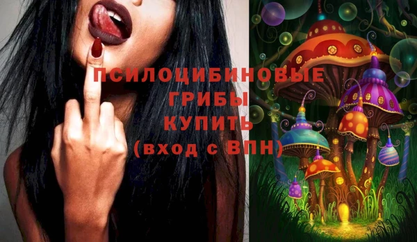 скорость Няндома