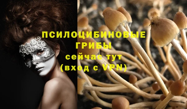 apvp Нягань