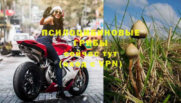 apvp Нягань