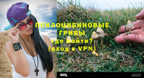 apvp Нягань