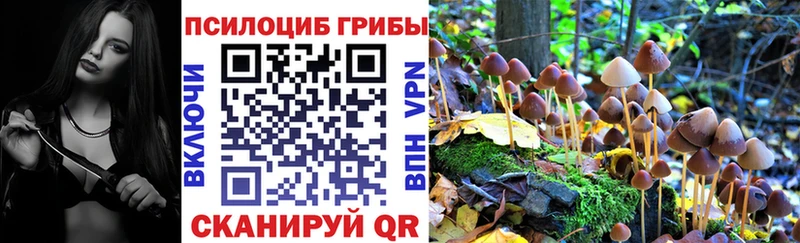 Галлюциногенные грибы мухоморы  Елизаветинская 